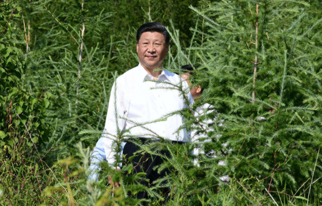 习近平:建设生态安全屏障要世世代代去做