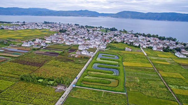 一个理念,让这个小山村实现绿色跨越