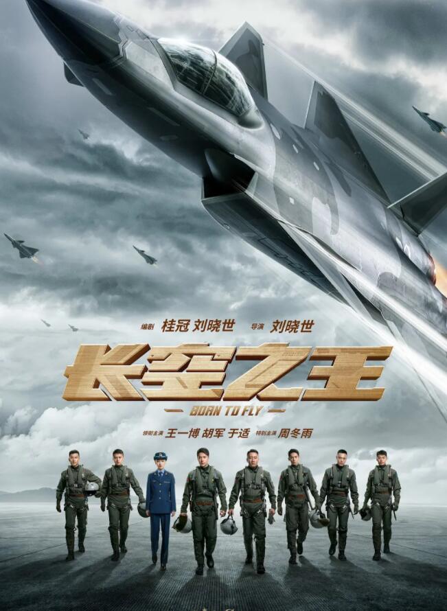 长空之王